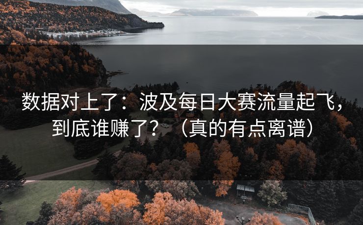 数据对上了：波及每日大赛流量起飞，到底谁赚了？（真的有点离谱）