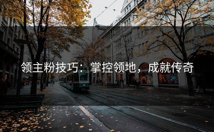 领主粉技巧：掌控领地，成就传奇