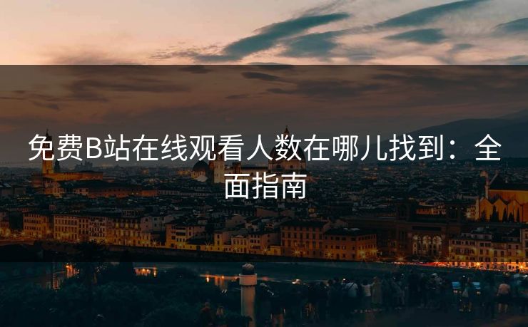 免费B站在线观看人数在哪儿找到：全面指南