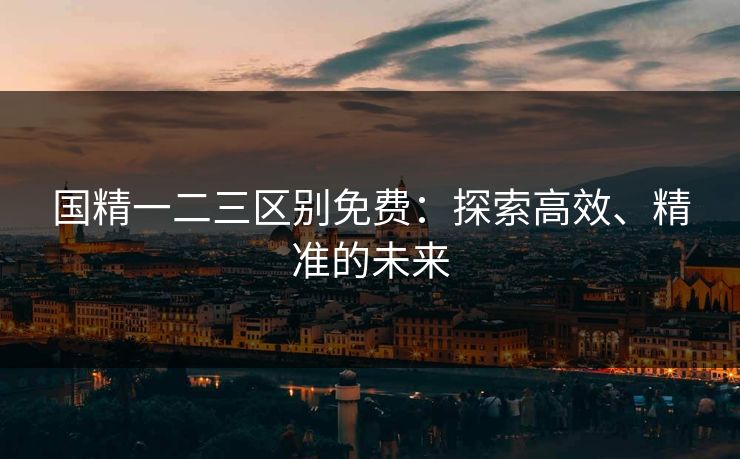 国精一二三区别免费：探索高效、精准的未来